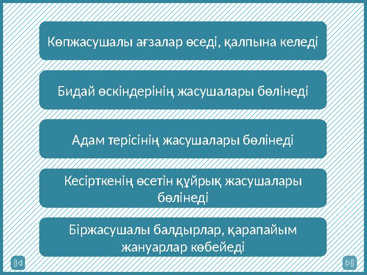 Көпжасушалы ағзалар өседі, қалпына келеді Бидай өскіндерінің жасушалары бөлінеді Адам терісінің жасушалары бөлінеді Кесірткенің