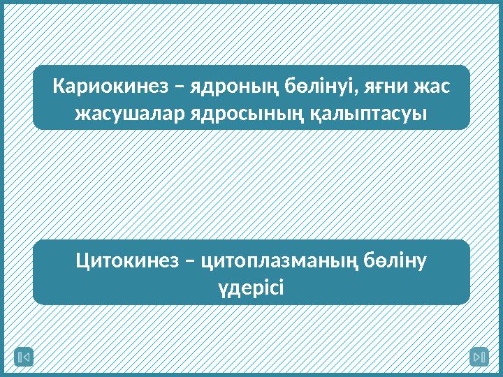 Кариокинез – ядроның бөлінуі, яғни жас жасушалар ядросының қалыптасуы Цитокинез – цитоплазманың бөліну үдерісі