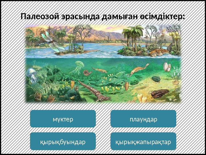Палеозой эрасында дамыған өсімдіктер: мүктер қырықбуындар плаундар қырықжапырақтар