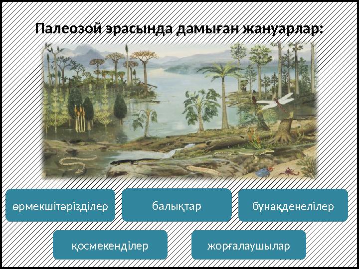 Палеозой эрасында дамыған жануарлар: өрмекшітәрізділер бунақденелілербалықтар қосмекенділер жорғалаушылар