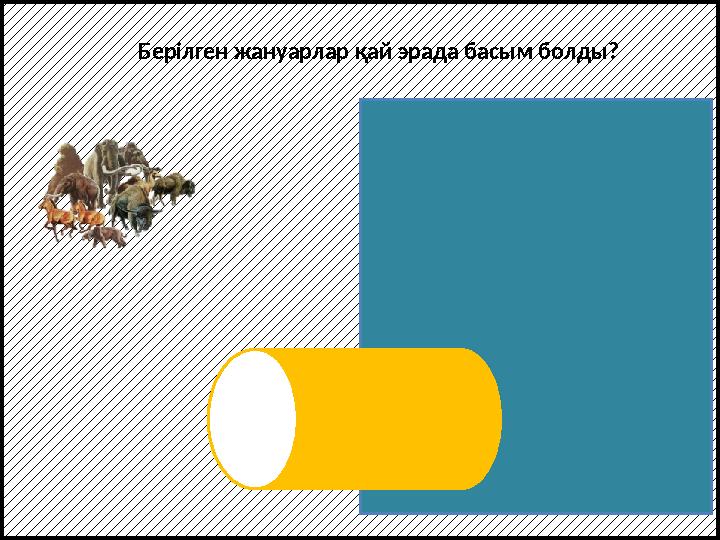 Берілген жануарлар қай эрада басым болды? Кайнозой эрасы