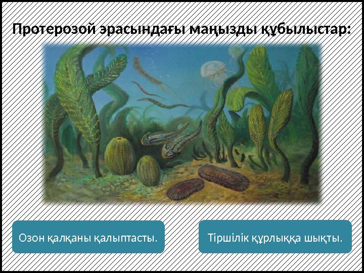 Озон қалқаны қалыптасты. Тіршілік құрлыққа шықты.Протерозой эрасындағы маңызды құбылыстар: