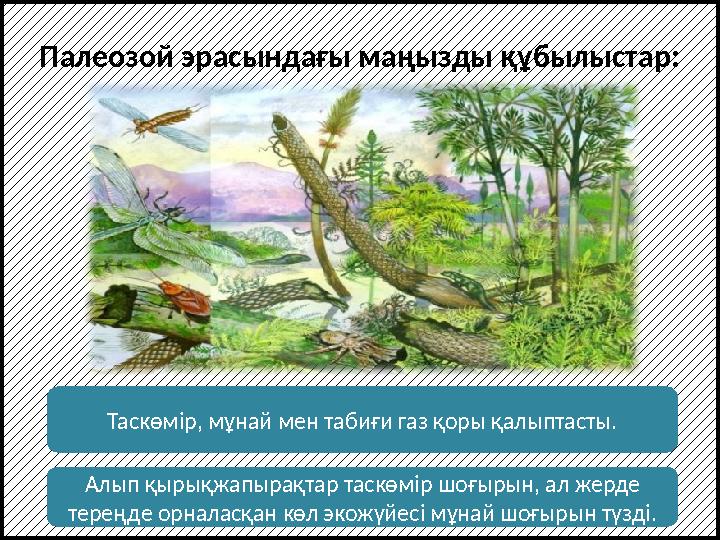 Палеозой эрасындағы маңызды құбылыстар: Таскөмір, мұнай мен табиғи газ қоры қалыптасты. Алып қырықжапырақтар таскөмір шоғырын, а
