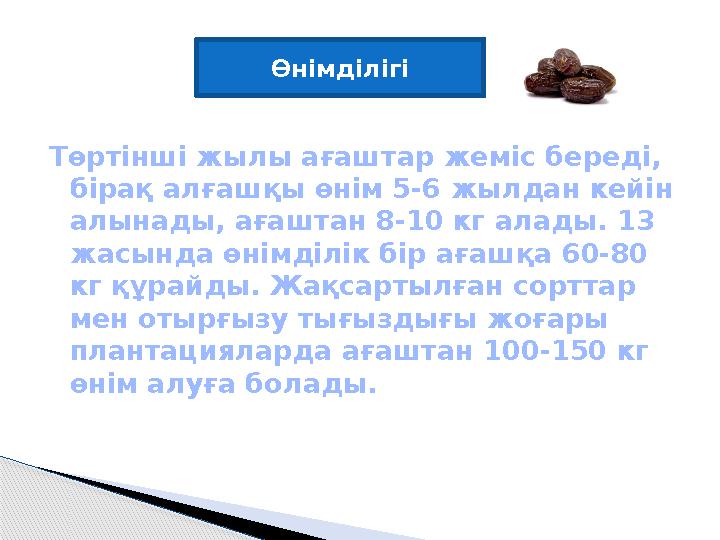 Өнімділігі Төртінші жылы ағаштар жеміс береді, бірақ алғашқы өнім 5-6 жылдан кейін алынады, ағаштан 8-10 кг алады. 13 жасында