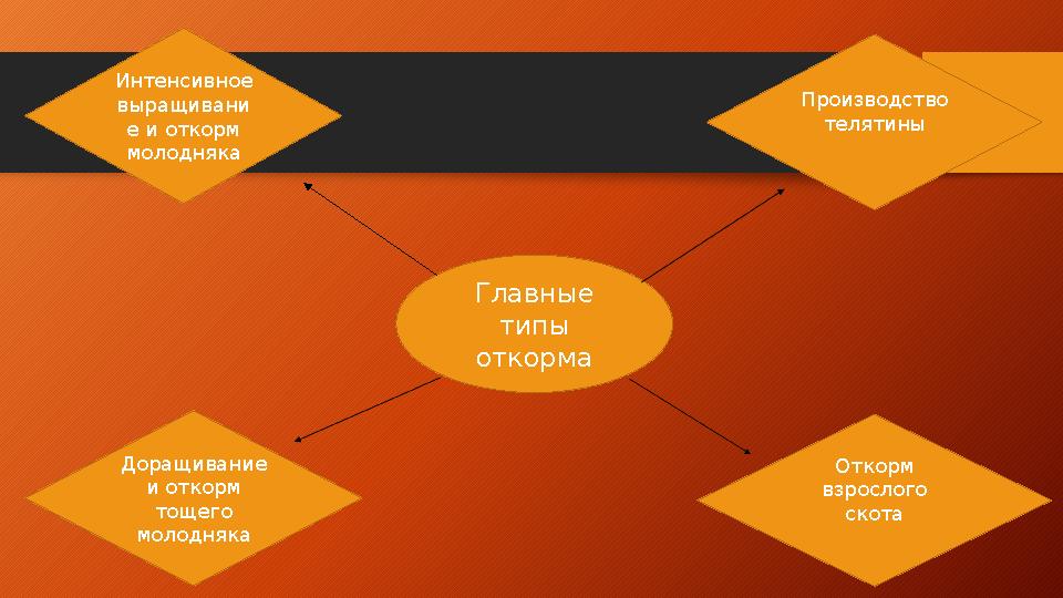 Главные типы откормаИнтенсивное выращивани е и откорм молодняка Производство телятины Доращивание и откорм тощего молодн