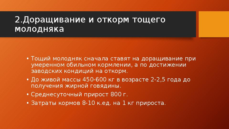 2.Доращивание и откорм тощего молодняка • Тощий молодняк сначала ставят на доращивание при умеренном обильном кормлении, а по