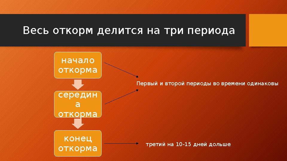 Весь откорм делится на три периода начало откорма cередин а откорма конец откорма третий на 10-15 дней дольше Первый и второ