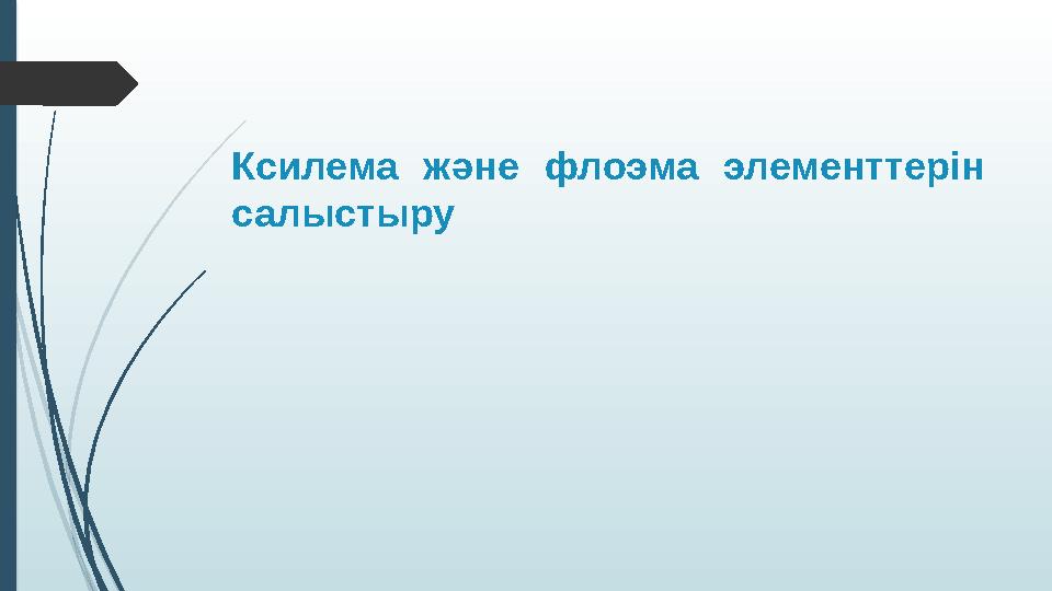 Ксилема және флоэма элементтерін салыстыру