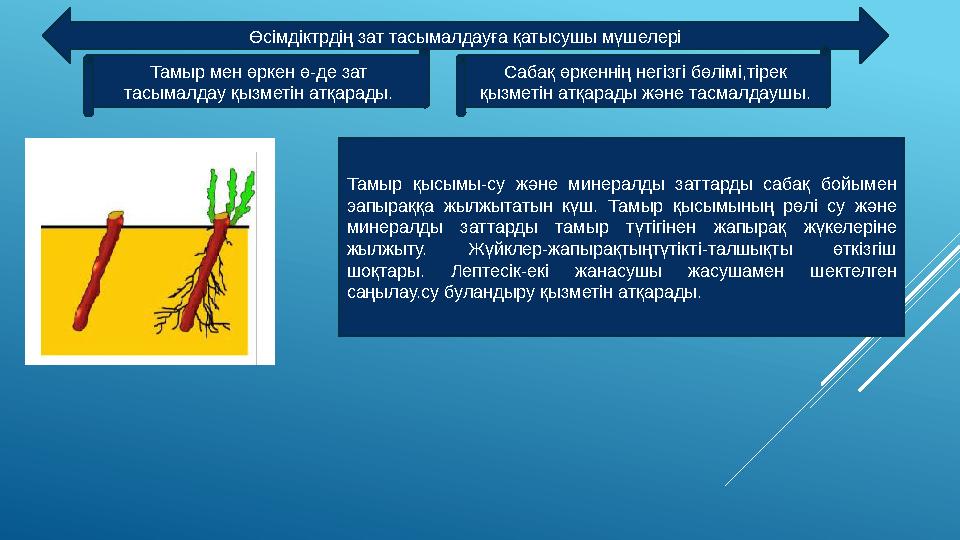 Сексуалды Джейми Ли Кертис