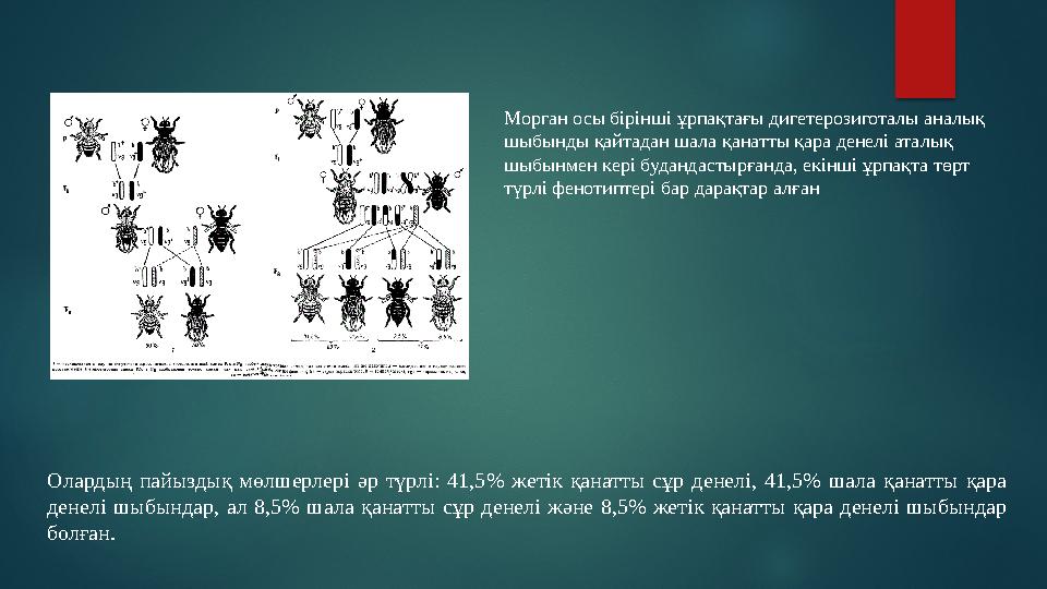 Кэти Морганның жыныстық факторы Кэти Морганның жыныстық факторы