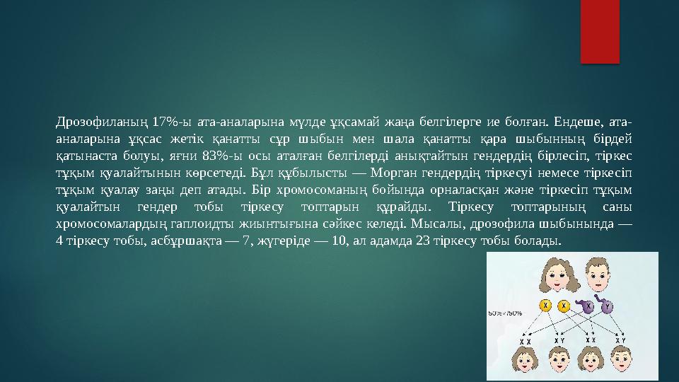 Дрозофиланың 17%-ы ата-аналарына мүлде ұқсамай жаңа белгілерге ие болған. Ендеше, ата- аналарына ұқсас жетік қанатт