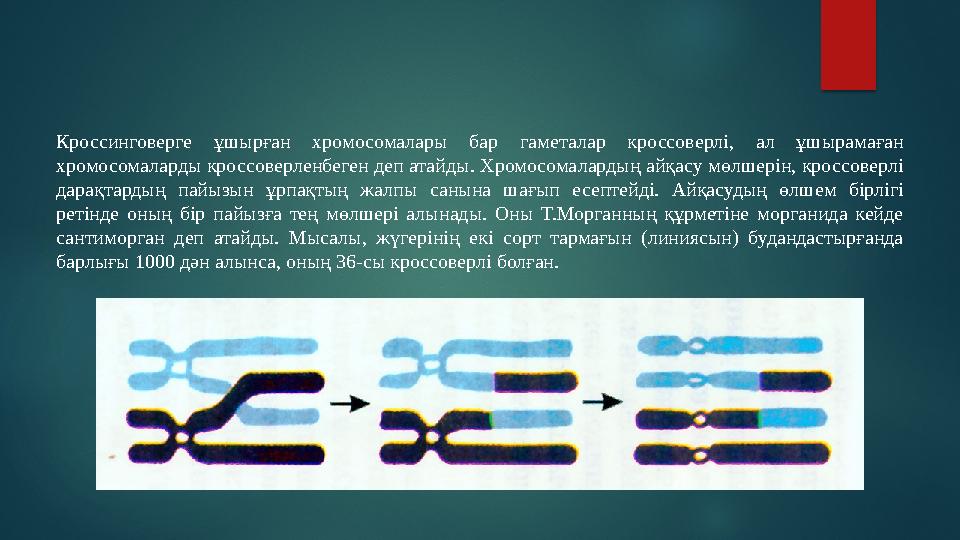 Кроссинговерге ұшырған хромосомалары бар гаметалар кроссоверлі, ал ұшырамаған хромосомаларды кроссоверленбеген деп атайд