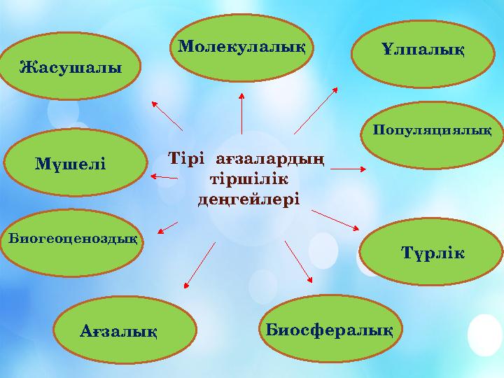 Тірі ағзалардың тіршілік деңгейлеріМолекулалық Жасушалы Ұлпалық Мүшелі Ағзалық Түрлік Популяциялық Биогеоценоздық Би