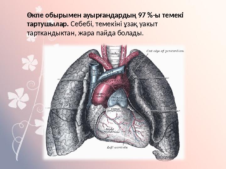 Өкпе обырымен ауырғандардың 97 %-ы темекі тартушылар. Себебі, темекіні ұзақ уакыт тарткандыктан, жара пайда болады.