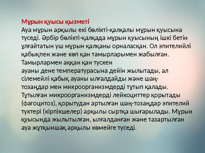 Мұрын қуысы қызметі Ауа мұрын арқылы екі бөлікті-қалқалы мұрын қуысына түседі. Әрбір бөлікті-қалқада мұрын қуысының ішкі бетін