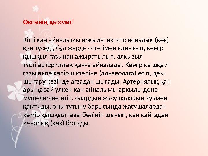 Өкпенің қызметі Кіші қан айналымы арқылы өкпеге веналық (көк) қан түседі, бұл жерде оттегімен қанығып, көмір қышқыл газынан аж