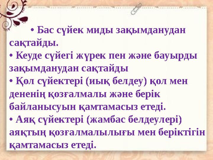 • Бас сүйек миды зақымданудан сақтайды. • Кеуде сүйегі жүрек пен және бауырды зақымданудан сақтайды • Қол сүйектері (иық белд