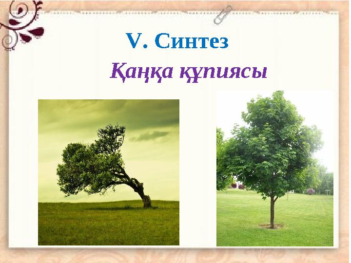 V . Синтез Қаңқа құпиясы