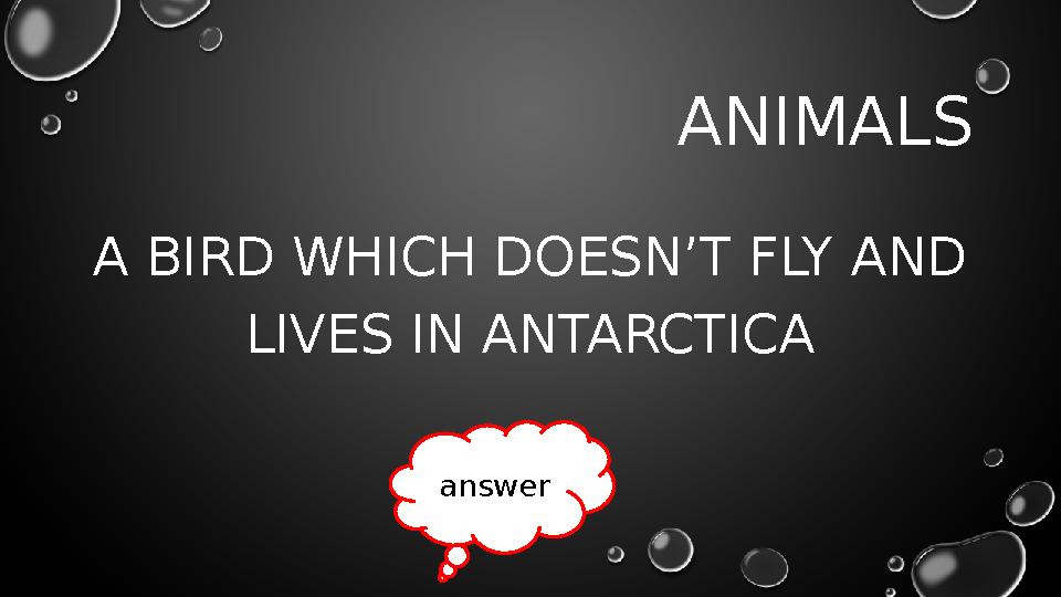 ANIMALS A BIRD WHICH DOESN’T FLY AND LIVES IN ANTARCTICA answer