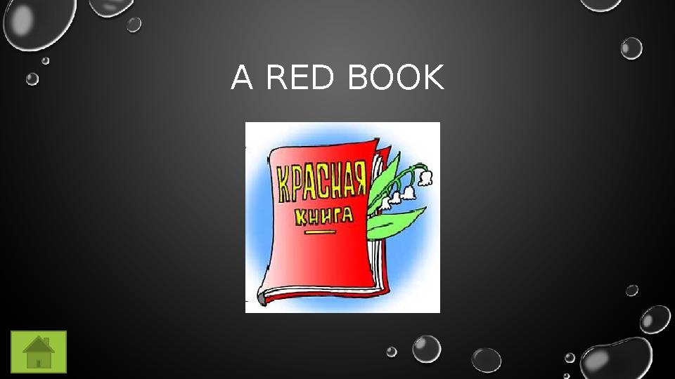 A RED BOOK