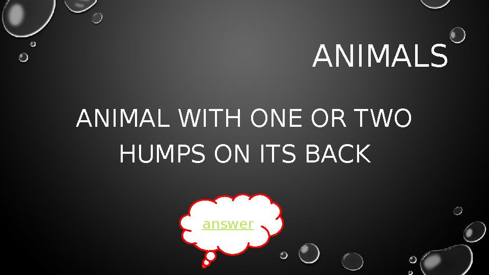 ANIMALS ANIMAL WITH ONE OR TWO HUMPS ON ITS BACK answer