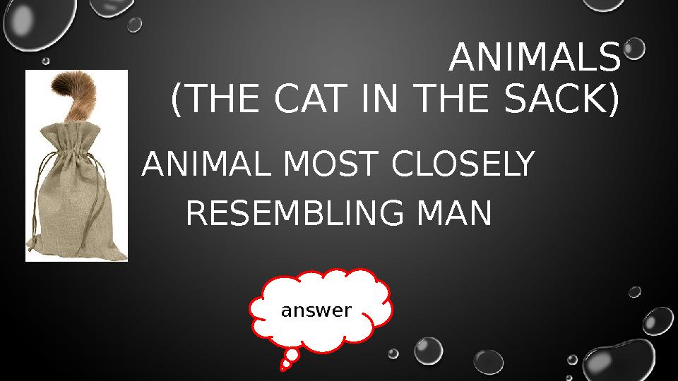 ANIMALS (THE CAT IN THE SACK) ANIMAL MOST CLOSELY RESEMBLING MAN answer