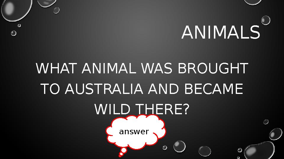 ANIMALS WHAT ANIMAL WAS BROUGHT TO AUSTRALIA AND BECAME WILD THERE? answer