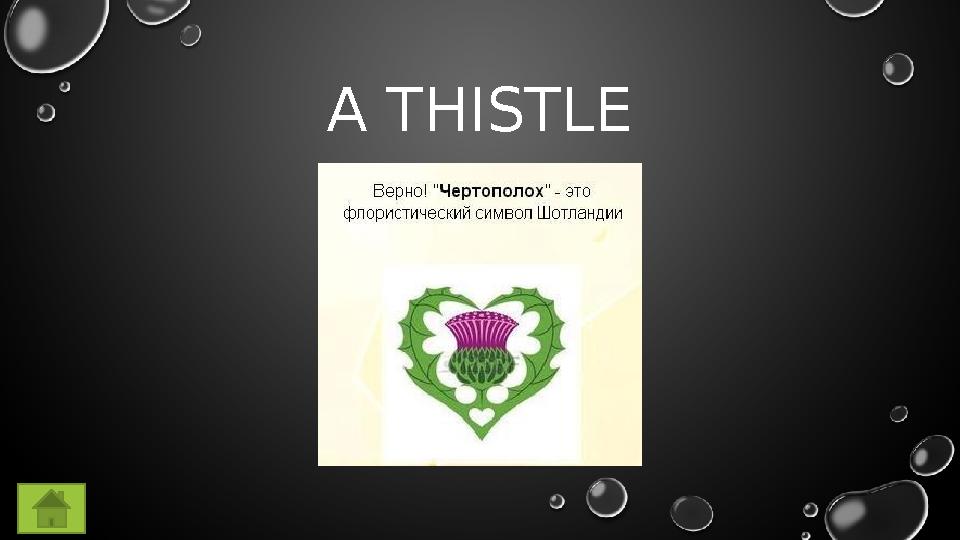 A THISTLE