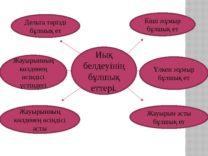 Иық белдеуінің бұлшық еттері.Дельта тәрізді бұлшық ет Кіші жұмыр бұлшық ет Жауырынның көлденең өсіндісі үстіндегі Үлкен