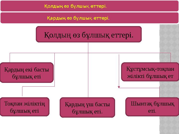 Қолдың өз бұлшық еттері. Қардың өз бұлшық еттері . Қолдың өз бұлшы