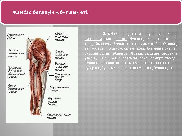 Порно: Екі жұп желіде кездесті