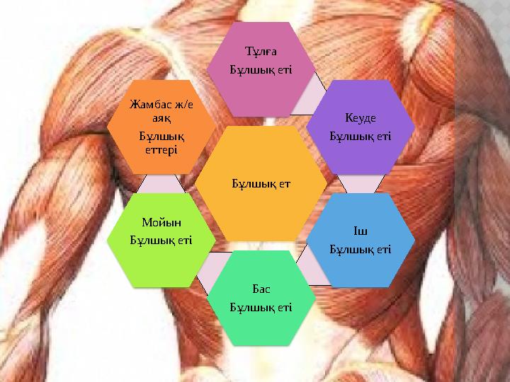 Орыс эротикасы Ұлы Екатерина Порно қора