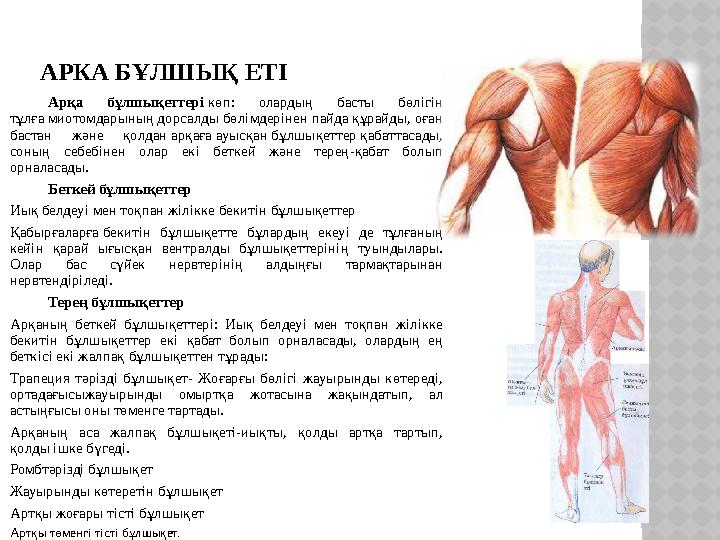 ескі қынап порно