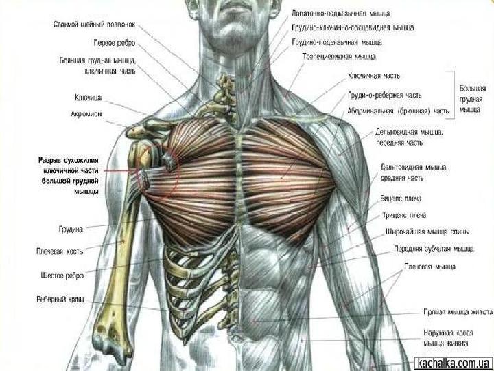 Жетілген әйелдердің қатысуымен онлайн порно бейнелерді қараңыз