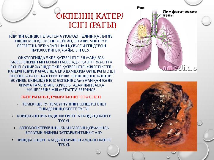 Әуесқойлық порно: Әпкесі трахает ағасы онлайн