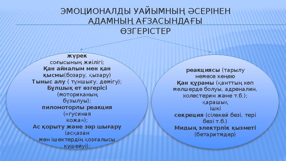 ЭМОЦИОНАЛДЫ УАЙЫМНЫҢ ӘСЕРІНЕН АДАМНЫҢ АҒЗАСЫНДАҒЫ ӨЗГЕРІСТЕР жүрек соғысының жиілігі; Қан айналым мен қан қысмы (бозару, қызару)