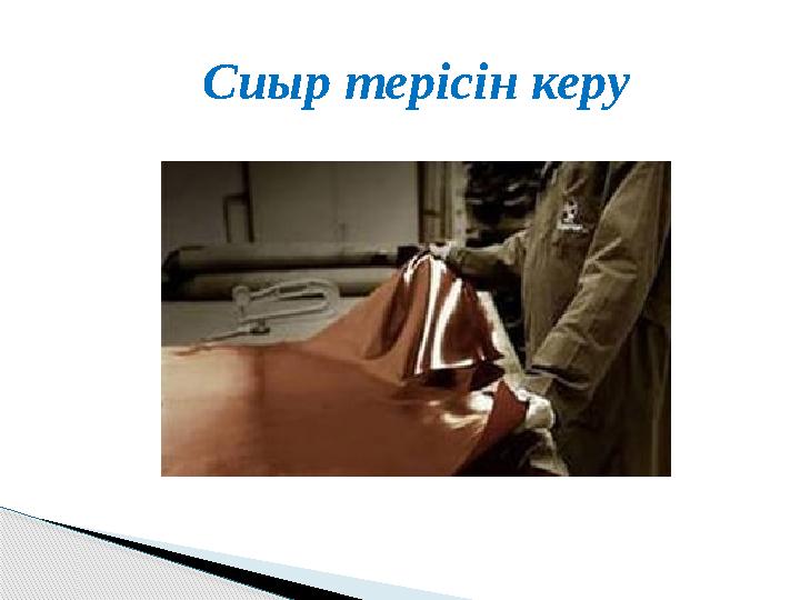 Сиыр терісін керу