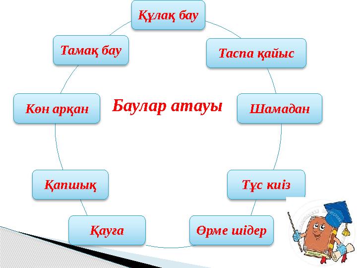 Құлақ бау Таспа қайыс Шамадан Тұс киіз Өрме шідерҚауғаҚапшықКөн арқан Тамақ бау Баулар атауы