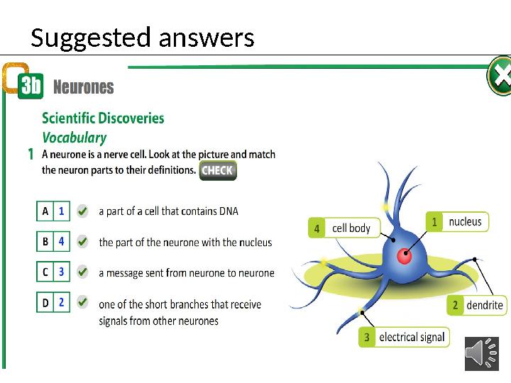 Suggested answers