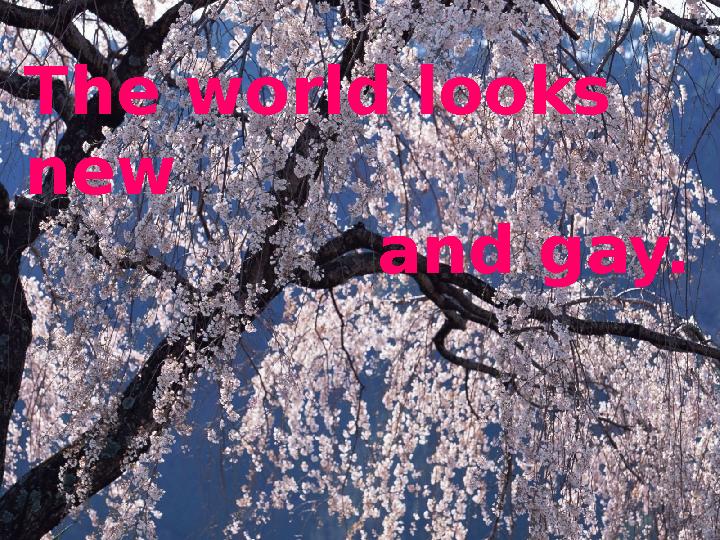 The world looks new and gay.