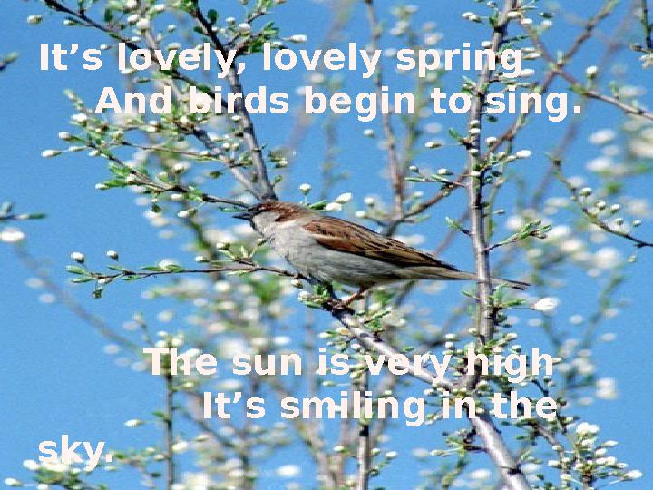 It’s lovely, lovely spring And birds begin to sing. The sun is very high It’s smiling