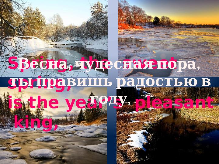 Spring, the sweet spring, is the year’s pleasant king, , , Весна чудесная пора ты правишь радостью в ,