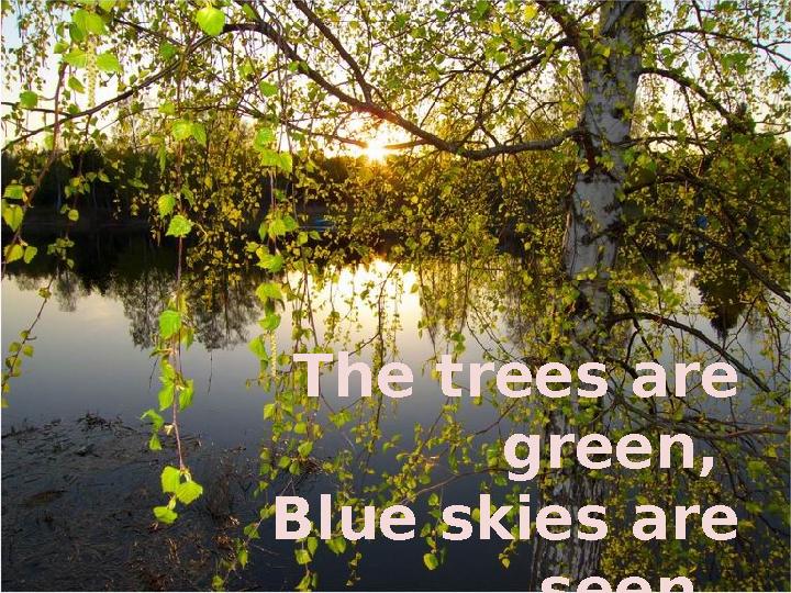 The trees are green, Blue skies are seen.