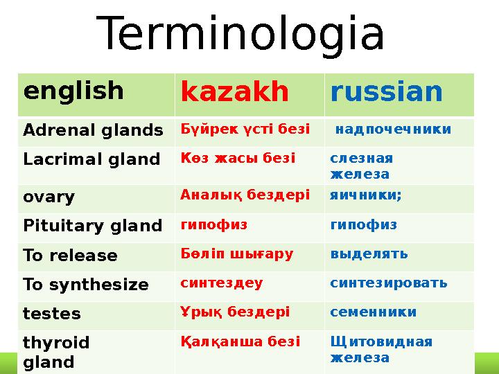 Terminologia english kazakh russian Adrenal glands Бүйрек үсті безі надпочечники Lacrimal gland Көз жасы безі слезная