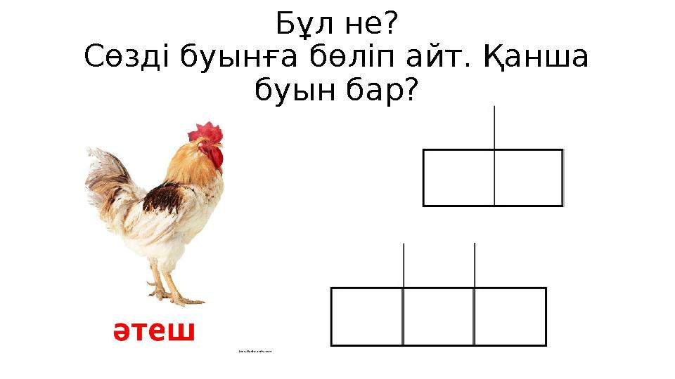 Бұл не? Сөзді буынға бөліп айт. Қанша буын бар?