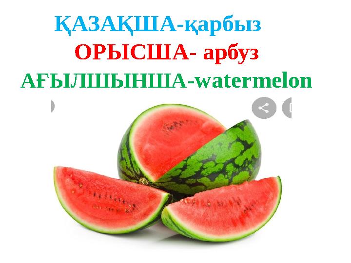 ҚАЗАҚША-қарбыз ОРЫСША- арбуз АҒЫЛШЫНША - watermelon