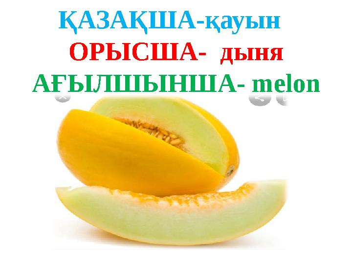 ҚАЗАҚША-қауын ОРЫСША- дыня АҒЫЛШЫНША- melon
