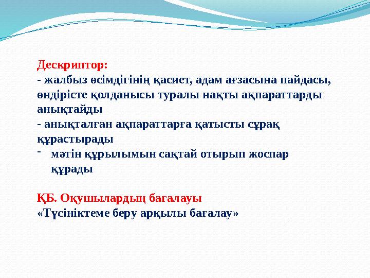 Дескриптор: - жалбыз өсімдігінің қасиет, адам ағзасына пайдасы, өндірісте қолданысы туралы нақты ақпараттарды анықтайды - анық