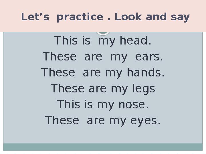 Let’s practice . Look and say This is my head. These are my ears. These are my hands. These are my legs This is my nose