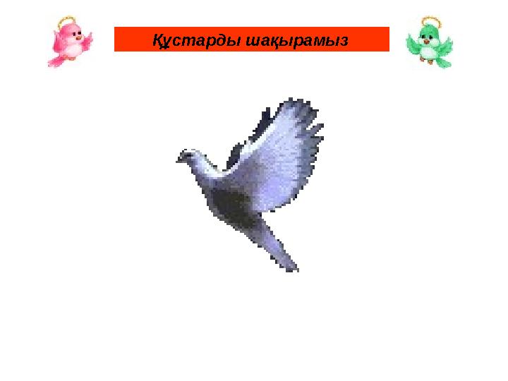 Құстарды шақырамыз
